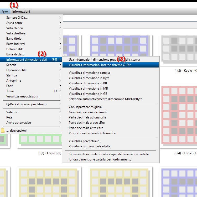 Posso personalizzare le dimensioni dei file in Quad File Explorer Q Dir